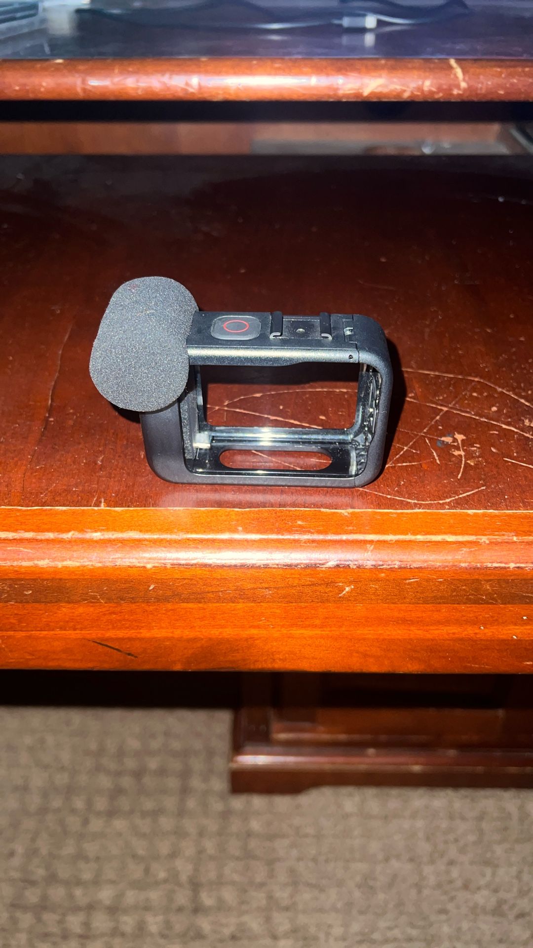 Go pro case, with a mic