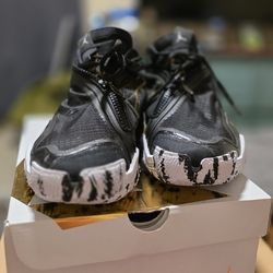 Brand New Jordan Why Not.6 #11.5