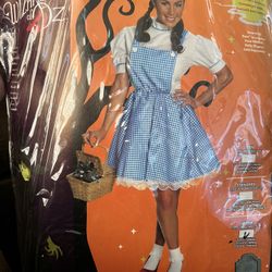 Large Adult Dorthy Costume 