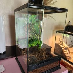 Reptile Terrarium FOR Frogs Or Lizards 