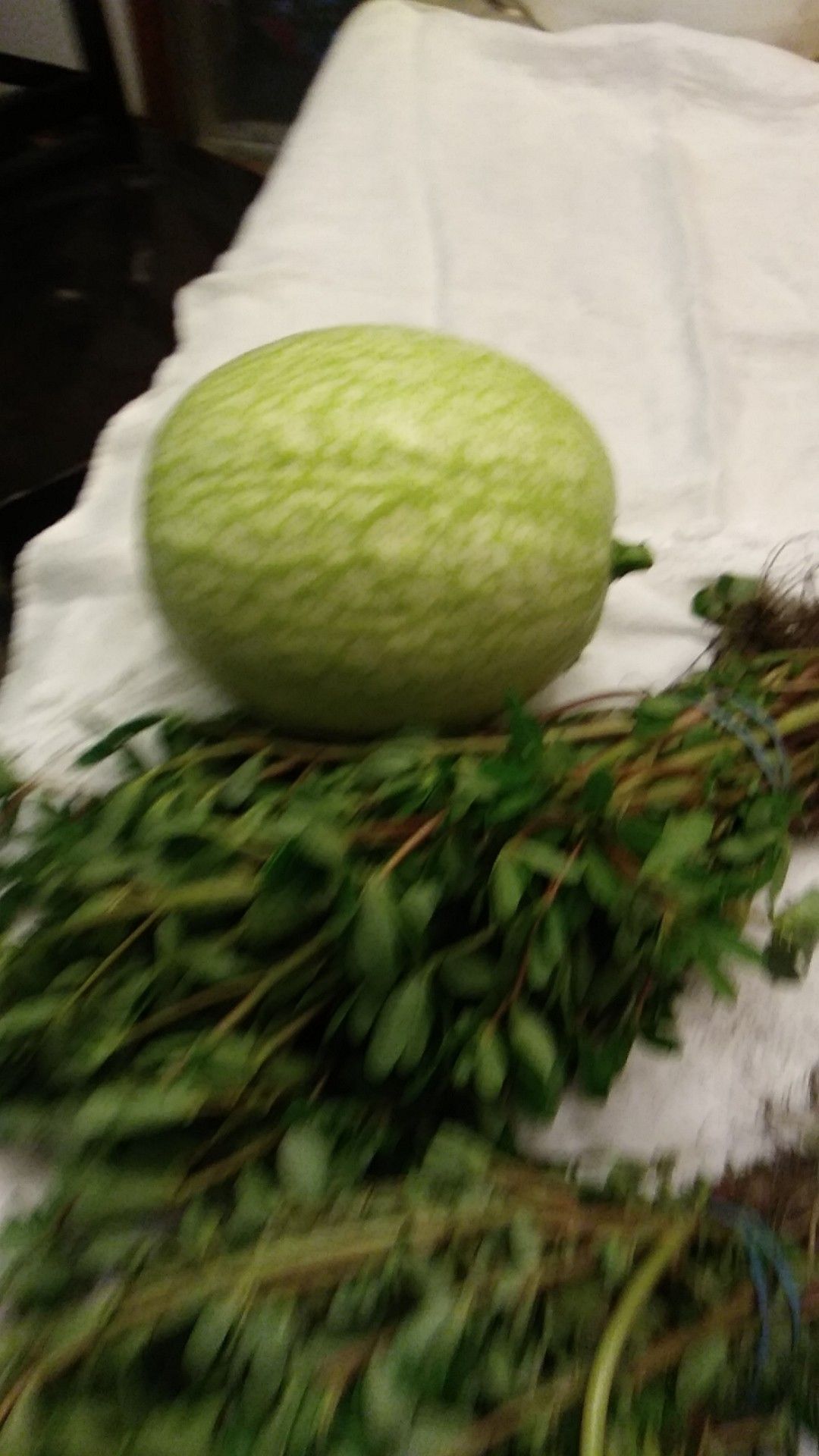 Chilacayotes tiernos