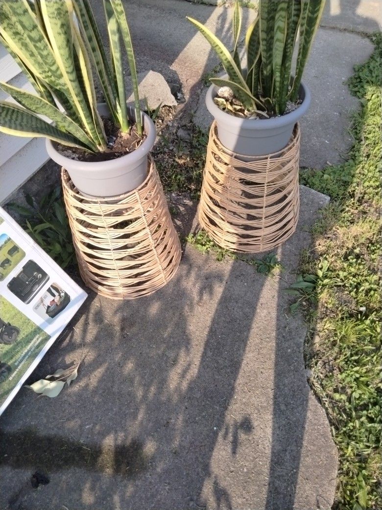 Bamboo Plant Stands