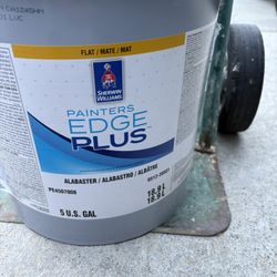 White Alabaster Paint, flat 