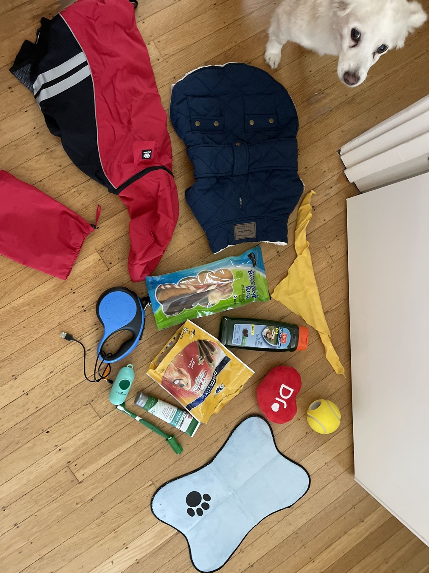 Dog Items