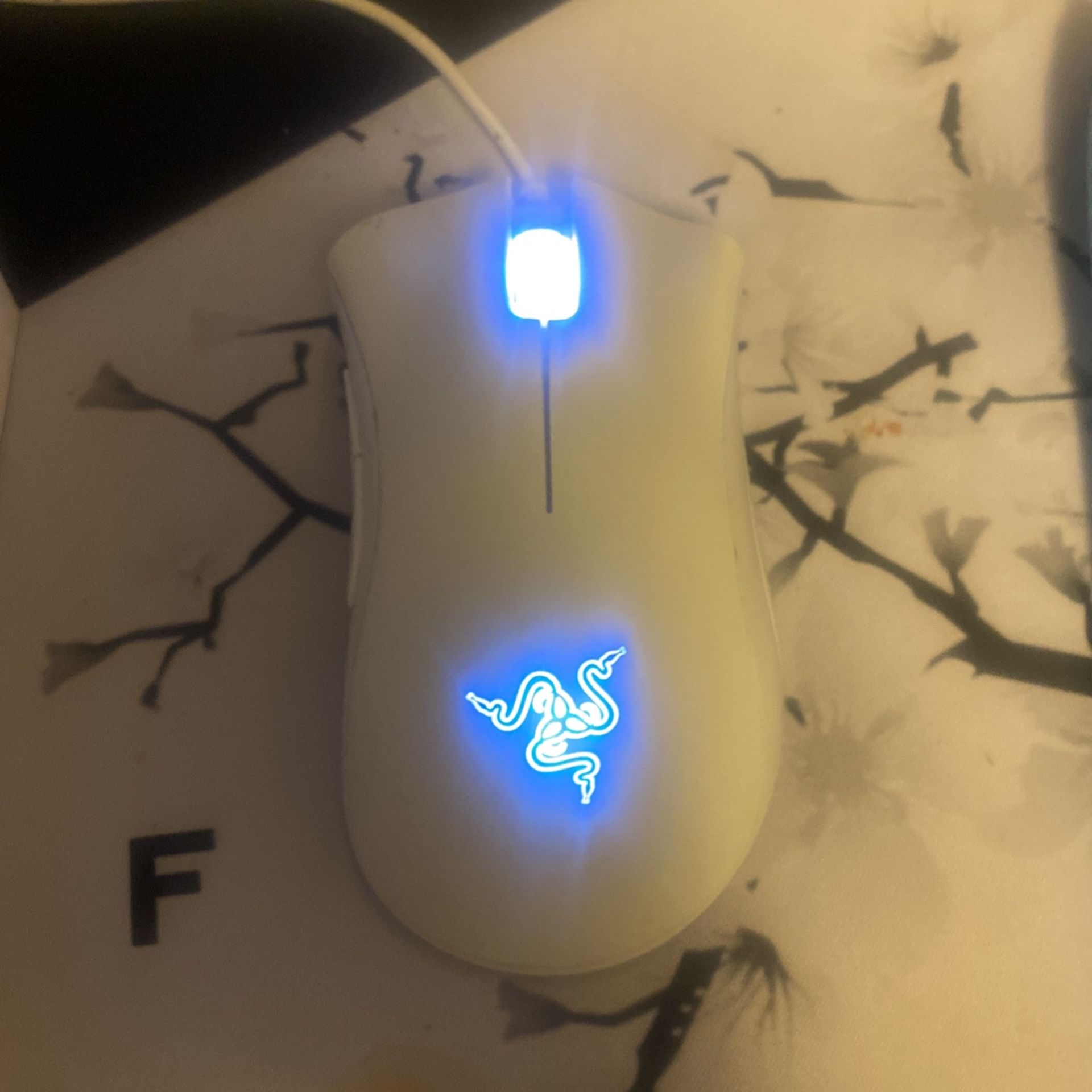 Razer Deathadder Essential Gaming Mouse White (NO LOWBALLING)