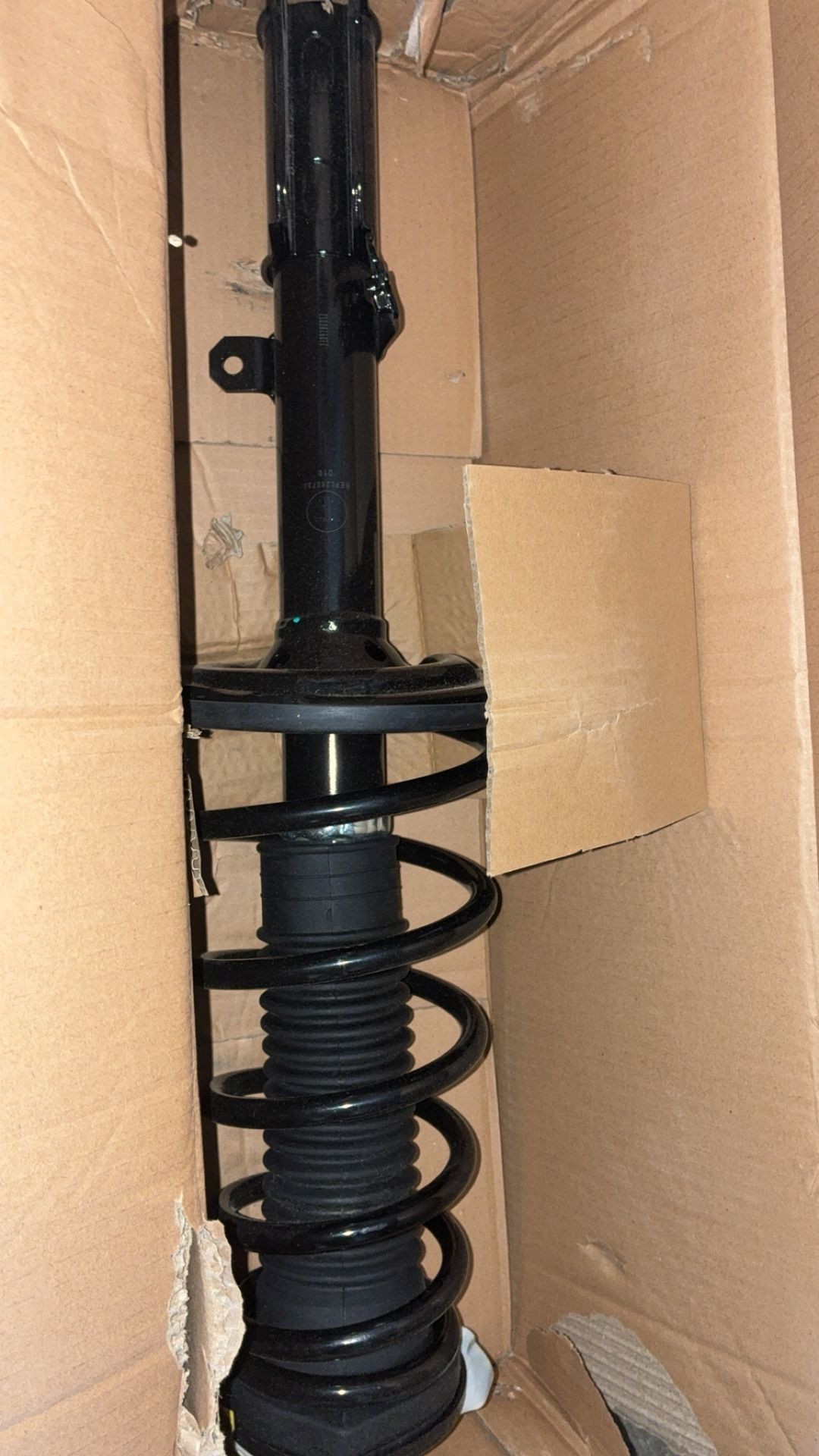 Brand New Struts 