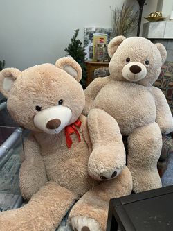 Teddy Giant Bears Thumbnail