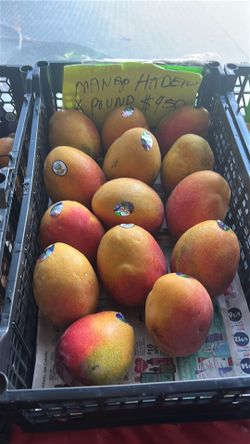 Mangos Haden soursop ciruelas Jocotes