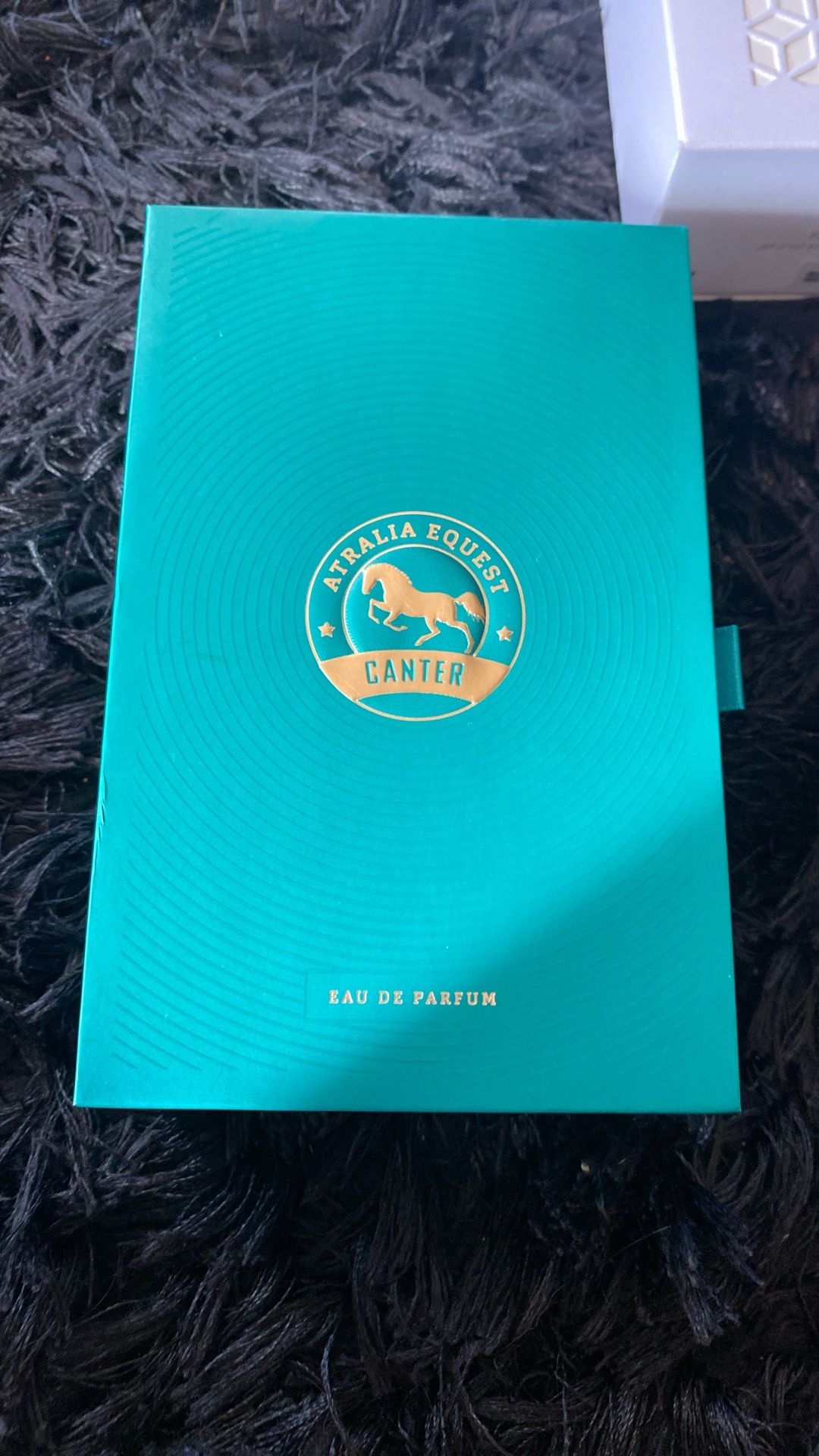 Brand new perfume amazing smell never been used