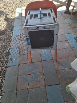 Cat or dog carrier