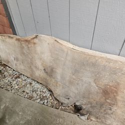 English Oak Slab 3in