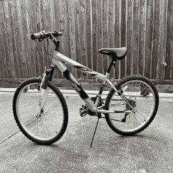 whatever else Full-Size Bike - Comfortable Ride for Daily Activities