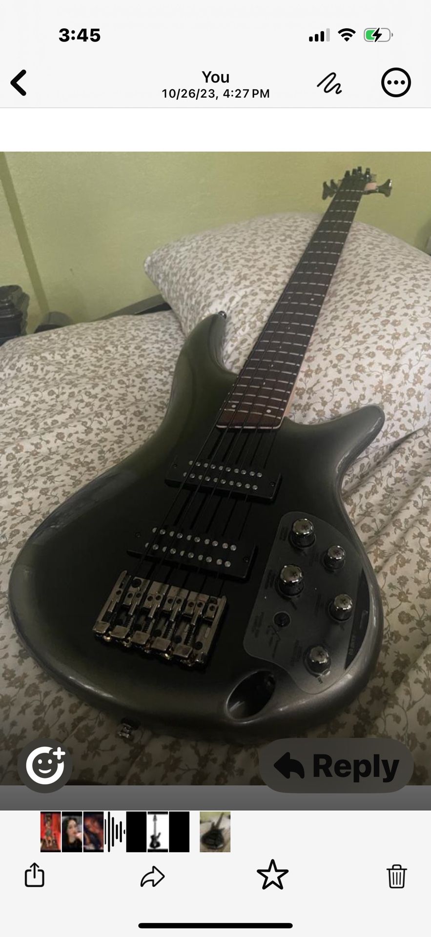 5 String Bass Guitar 