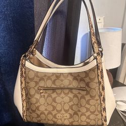 Bolsa Coach