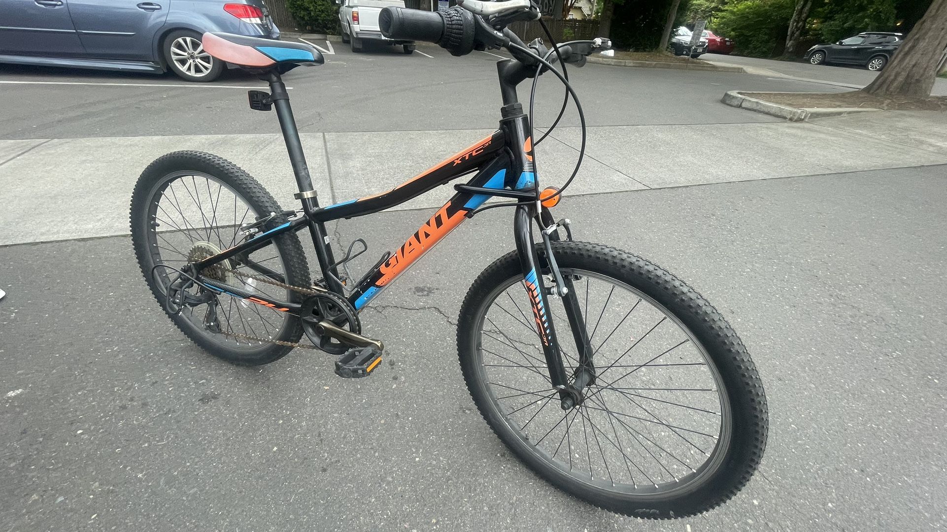 Giant Bike