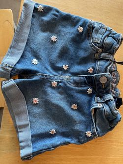 Cat and Jack Daisy embroidered denim shorts
