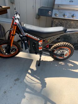 Pegasus e bike