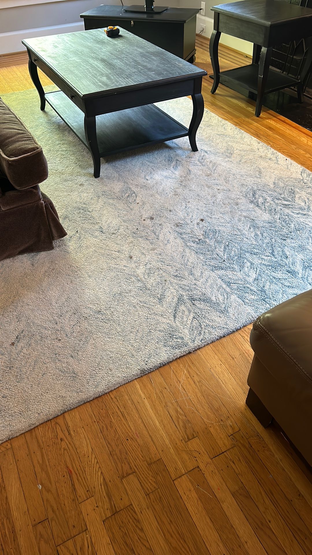 FREE 8x10’ West Elm Rug