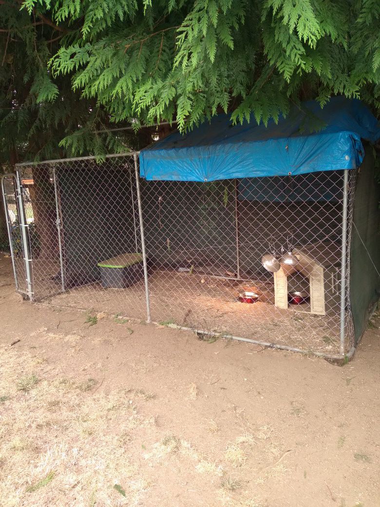 Dog kennel ***PENDING PICK UP SATURDAY 9/19***