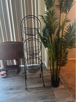 Plant