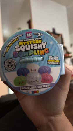 Mystery squishy dumpling