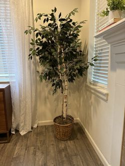Large Faux House Plant 