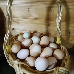 Farm Fresh Eggs