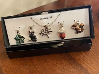 NEW Interchangeable Charm Necklace