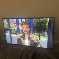 65 Inch 