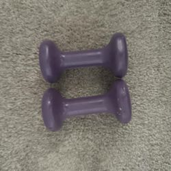 2 Sets Of Dumbbells