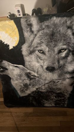 wolf-like