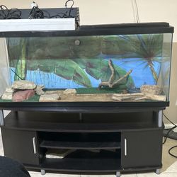 55 Gallon Tank with Stand, Lights And Rocks