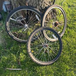 3 Bike Tires