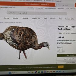 Avian X Feeder Turkey Decoys - 2 Decoys New In Box