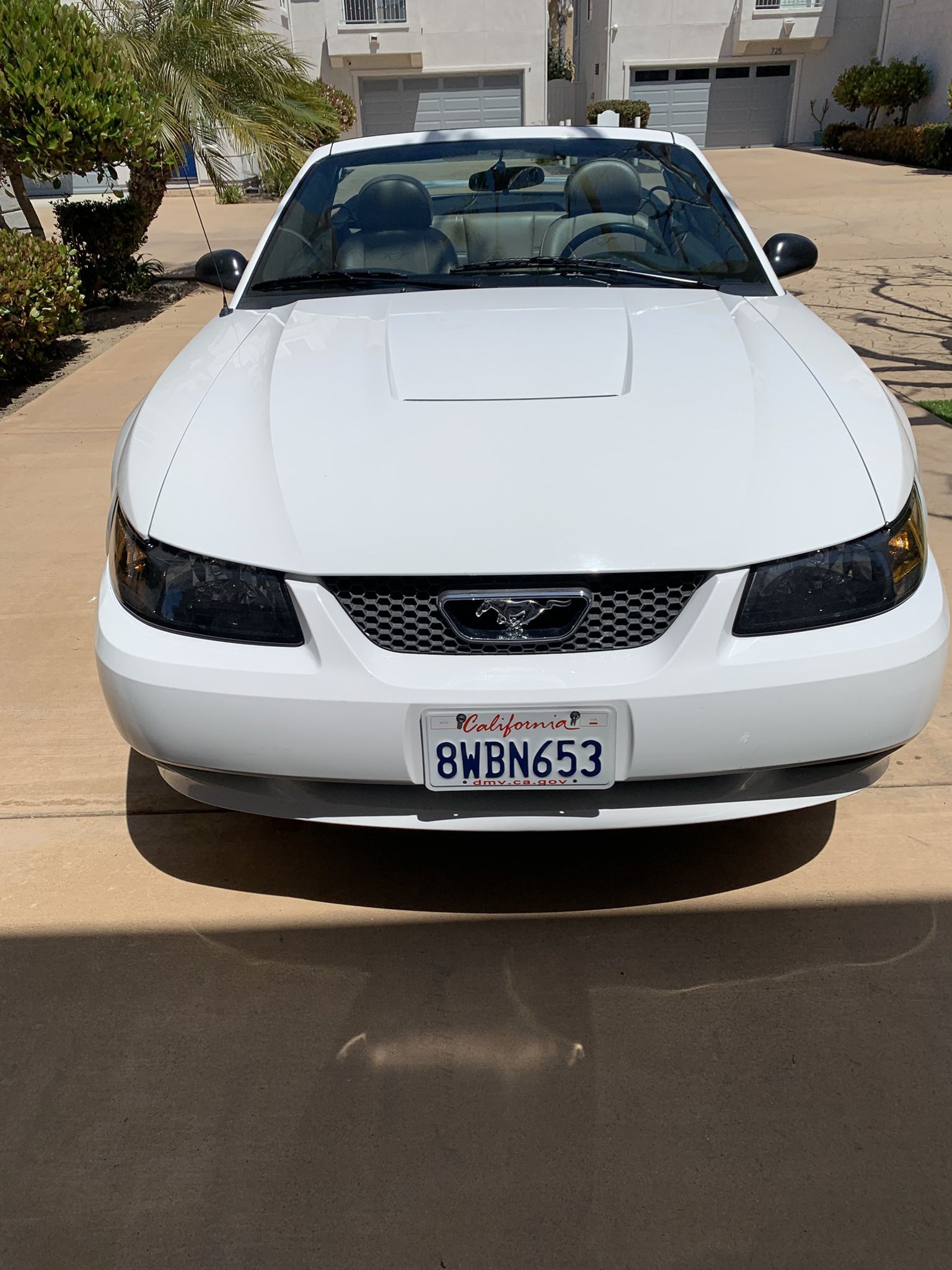 2004 Ford Mustang