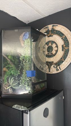 Reptile cage