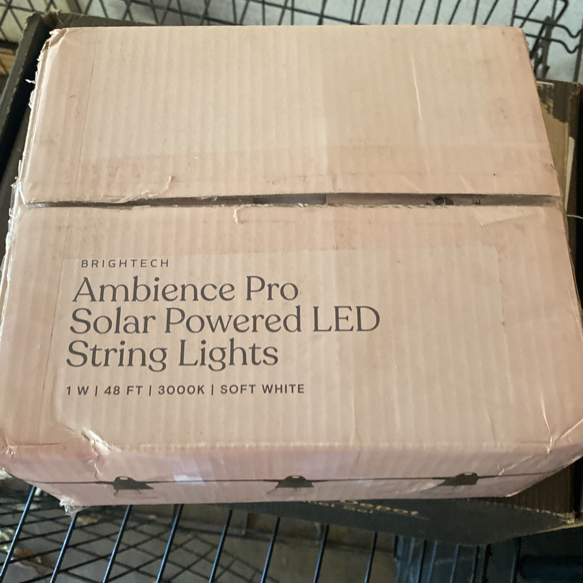 Ambience Pro Solar Powered LED Lights