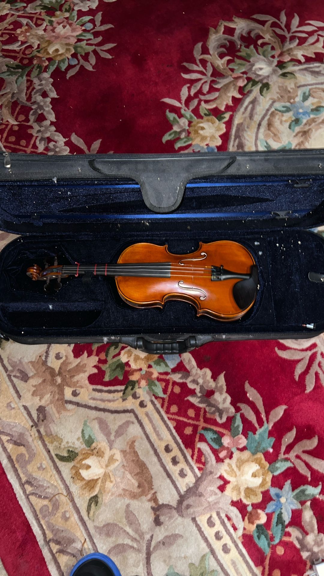 Violin
