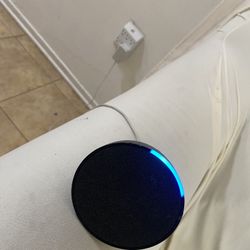 Amazon Alexa Works Perfectly And Connects To Phone