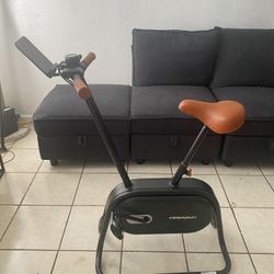 Exercise Bicycle