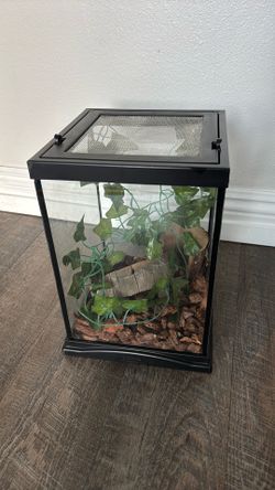 Terrarium reptile/spider Tank