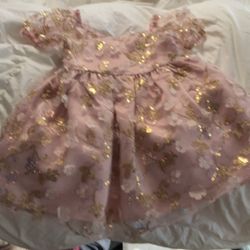  Child Dress Pink 3t