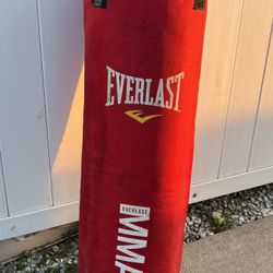 Everlast 