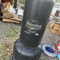 Punching bag