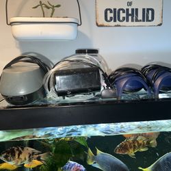 Aquarium Air Pumps 