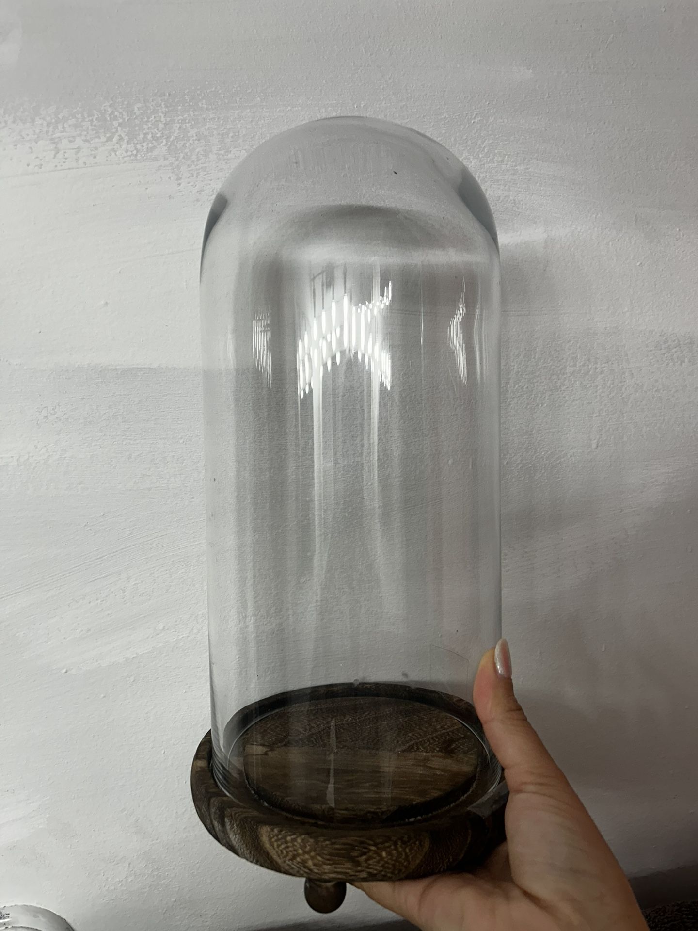 Glass Dome For Plants And Decor (4 In Total) 