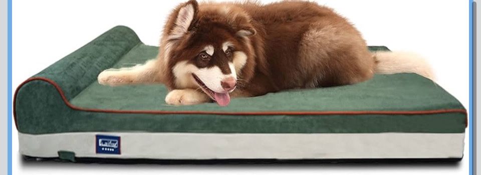 Open Box Laifug Orthopedic Memory Foam Dog Bed with Durable Water Proof Liner and Removable Washable Cover (Large (46"x28"x8"), Dark Green)