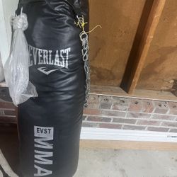 Everlast Punching bag 