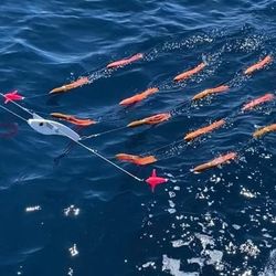 Titanium Spreader Bar That Floats For Tuna Fishing 