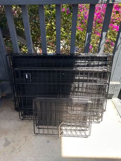 Dog Crates